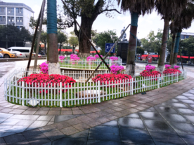 三角梅景观设计效果图