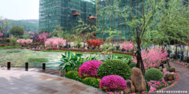 美丽乡村池塘景观设计