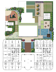 屋顶花园彩色平面图