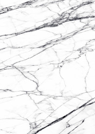 大堂奢华新鱼肚白 tif合层