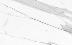 简约新大气鱼肚白 tif合层