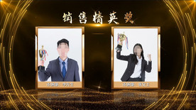 企业大气年终颁奖晚会AE模板