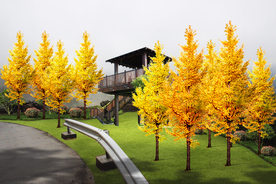 银杏绿化景观设计