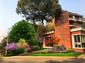 绿化改造设计效果图