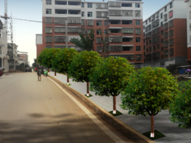 校园绿化景观设计效果图