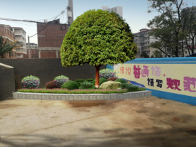 校园绿化景观设计效果图