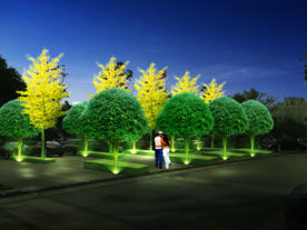 广场绿化夜景效果图