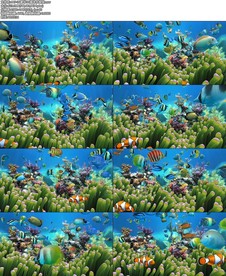 2K豪华3D海洋水族馆.mov