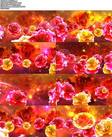 994_盛世花开.mov