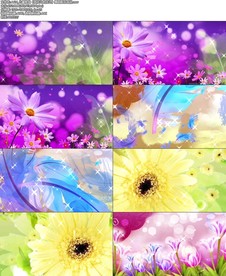 儿童歌曲《唱花儿的花儿》舞蹈配