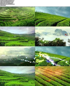 768_茶山情歌LED背景.m