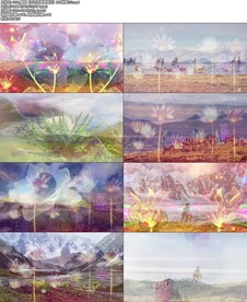 舞蹈《可可西里雪莲花》LED