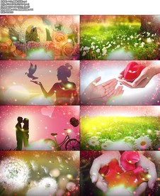 1420_奉献-苏芮.mp4