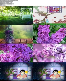 一株紫丁香朗诵led背景视频