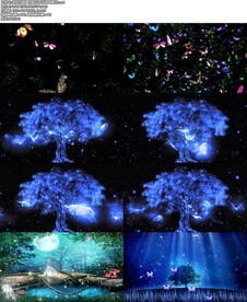 梁祝化蝶舞台配乐成品视频素材.