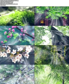 你是人间的四月天朗诵配乐