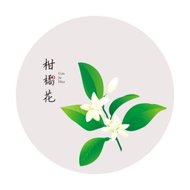 柑橘树图片大全 柑橘树设计素材 柑橘树模板下载 柑橘树图库 昵图网soso Nipic Com