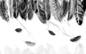 高端羽毛奢华画 tif分层