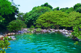 风景画 山水风景