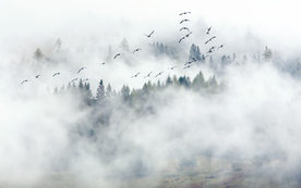 云雾山峦背景图