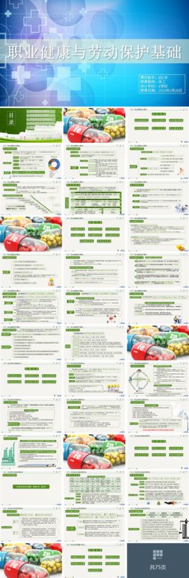 职业健康与劳动保护课件