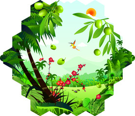 福建特产橄榄矢量图