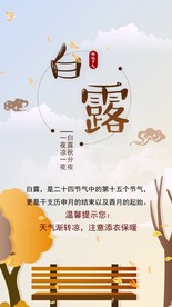 唯美白露节气微信小视频AE模板