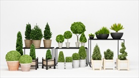 室外观赏性植物模型集