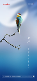 春分 春分海报 春分转发图