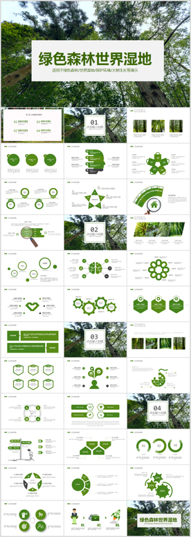 敬畏生命植物成长树苗PPT