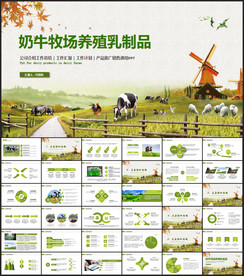 生态草原畜牧业奶牛养殖乳业