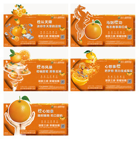 地产橙子朋友圈