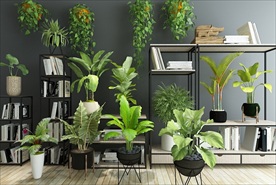 一套绿色观赏性植物集