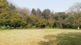 冬日风景