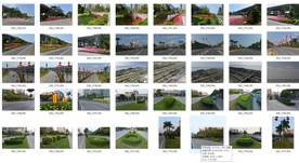 宝安机场段落地牌园林规划街景