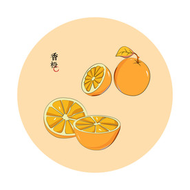 橙子矢量元素