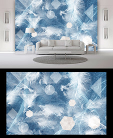 羽毛电视背景墙