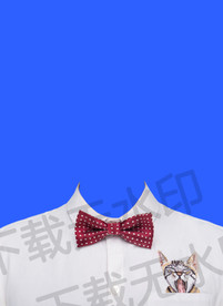 红领结白衬衫证件照