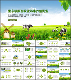 生态草原畜牧业奶牛养殖乳业