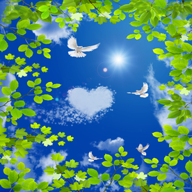 蓝天白云家装吊顶