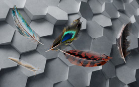 羽毛 新欧式无框画 TIF分层