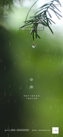 谷雨