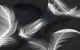 高清 羽毛背景墙 tif分层