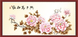 牡丹花