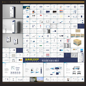 全套企业VIS导视