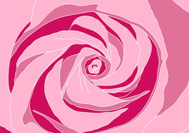 玫瑰漩涡