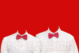 领结结婚证件照 结婚登记照