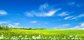 蓝天白云绿草地