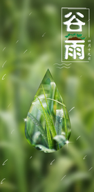 谷雨海报