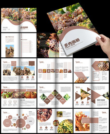 绿植家居产品画册多肉植物介绍